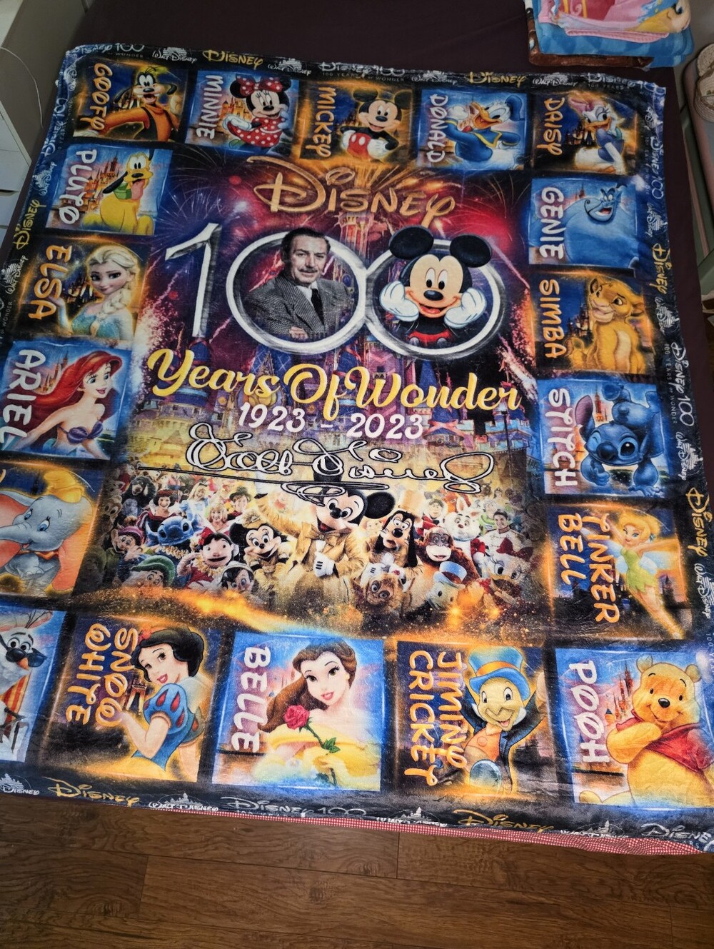 Disney 100 Years of Wonder Multicolor Throw Blanket